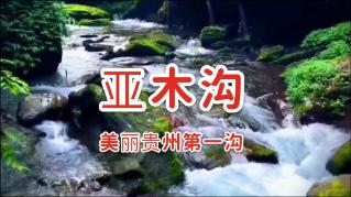 你能逃离此地吗
